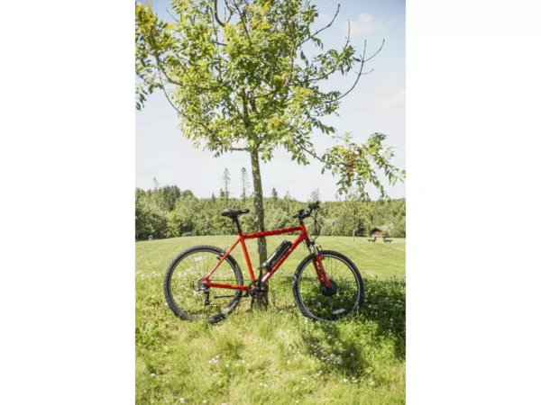 Apollo Phaze-E Electric Mountain Bike 20" - Image 4